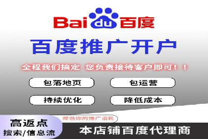 行业专家解析SEM代运营成功案例