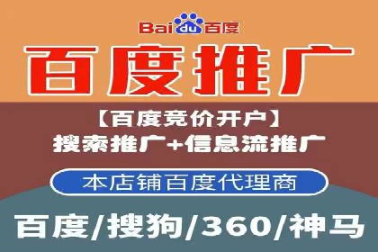 热门SEM运营公司案例深度剖析